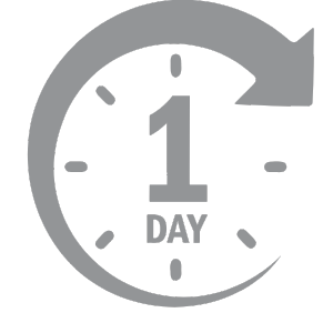 1 DAY